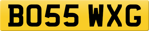 BO55WXG