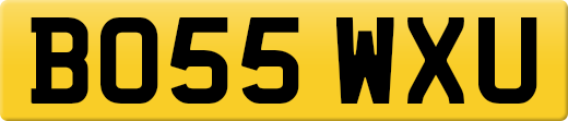 BO55WXU