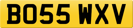 BO55WXV
