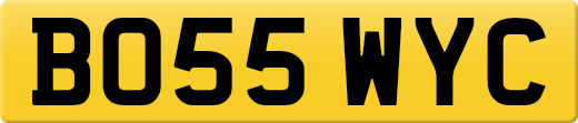 BO55WYC
