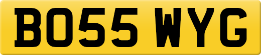 BO55WYG