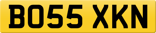 BO55XKN