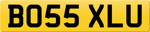 BO55XLU