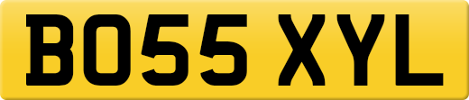 BO55XYL