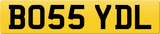 BO55YDL