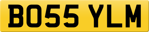 BO55YLM