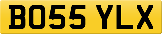 BO55YLX