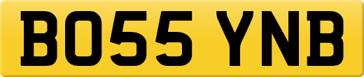 BO55YNB