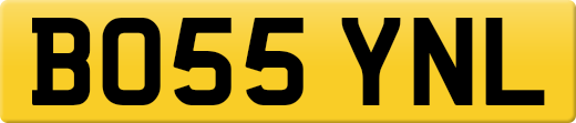BO55YNL