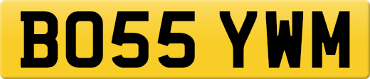 BO55YWM