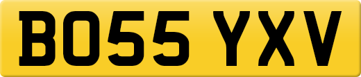 BO55YXV