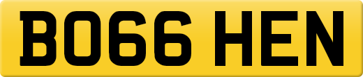 BO66HEN