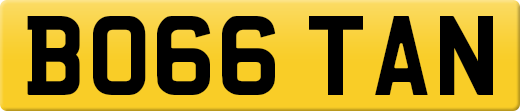 BO66TAN
