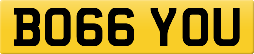 BO66YOU