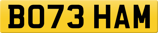 BO73HAM