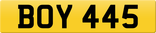 BOY445