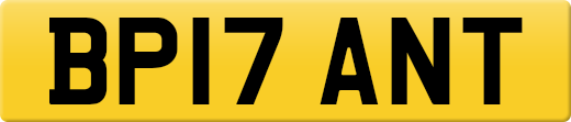 BP17ANT