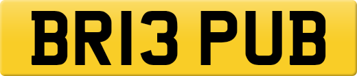 BR13PUB