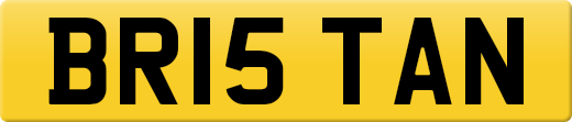 BR15TAN