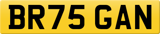 BR75GAN