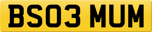 BS03MUM
