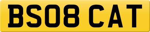 BS08CAT