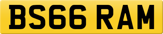 BS66RAM