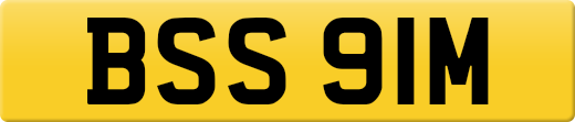 BSS91M