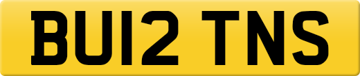 BU12TNS
