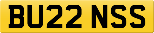 BU22NSS