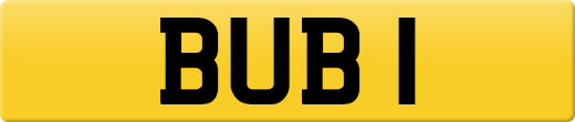 BUB1