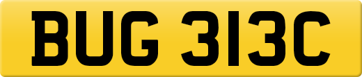 BUG313C