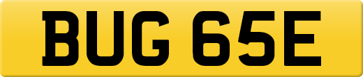 BUG65E