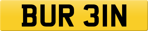 BUR31N