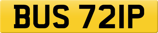BUS721P