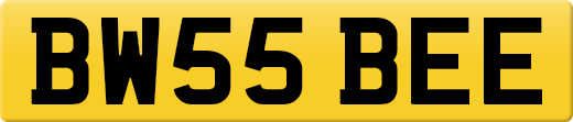 BW55BEE