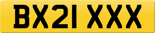 BX21XXX
