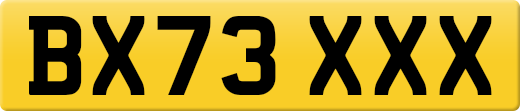 BX73XXX