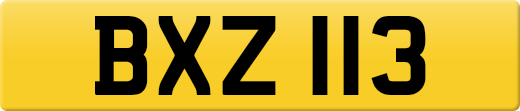 BXZ113