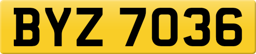 BYZ7036