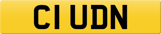 C1UDN