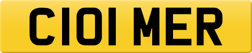 C101MER