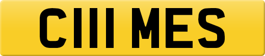 C111MES