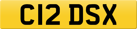 C12DSX