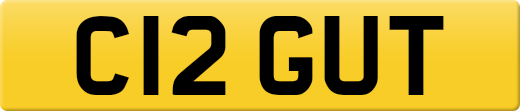 C12GUT