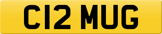 C12MUG