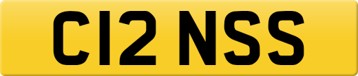 C12NSS