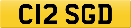 C12SGD