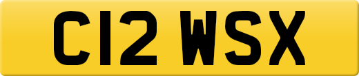 C12WSX