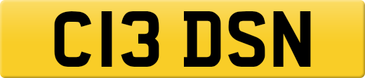 C13DSN